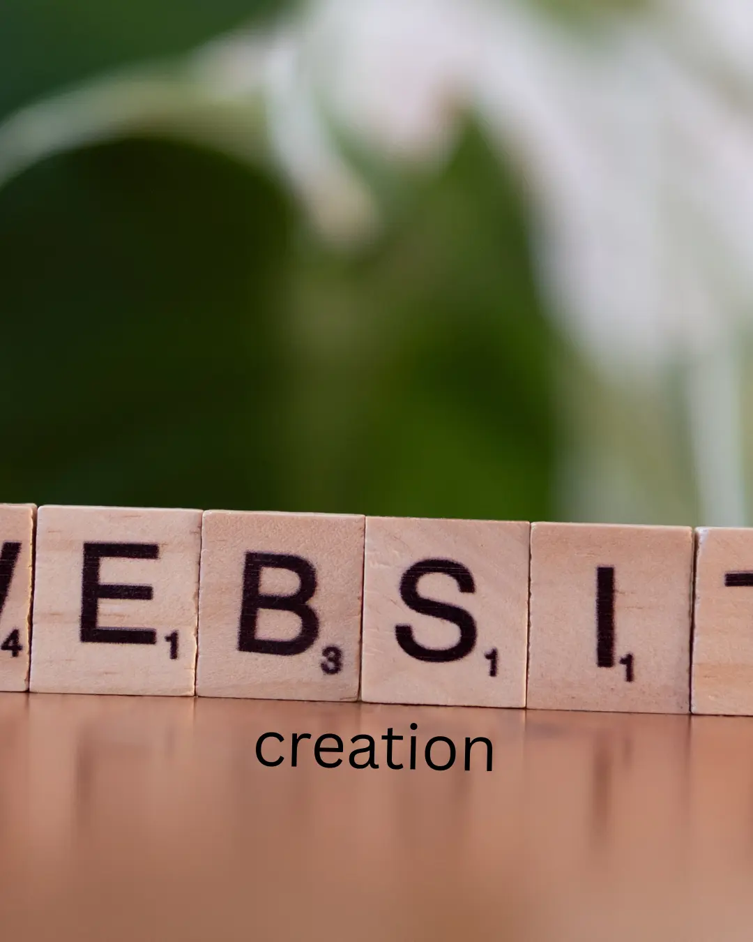 professional web development